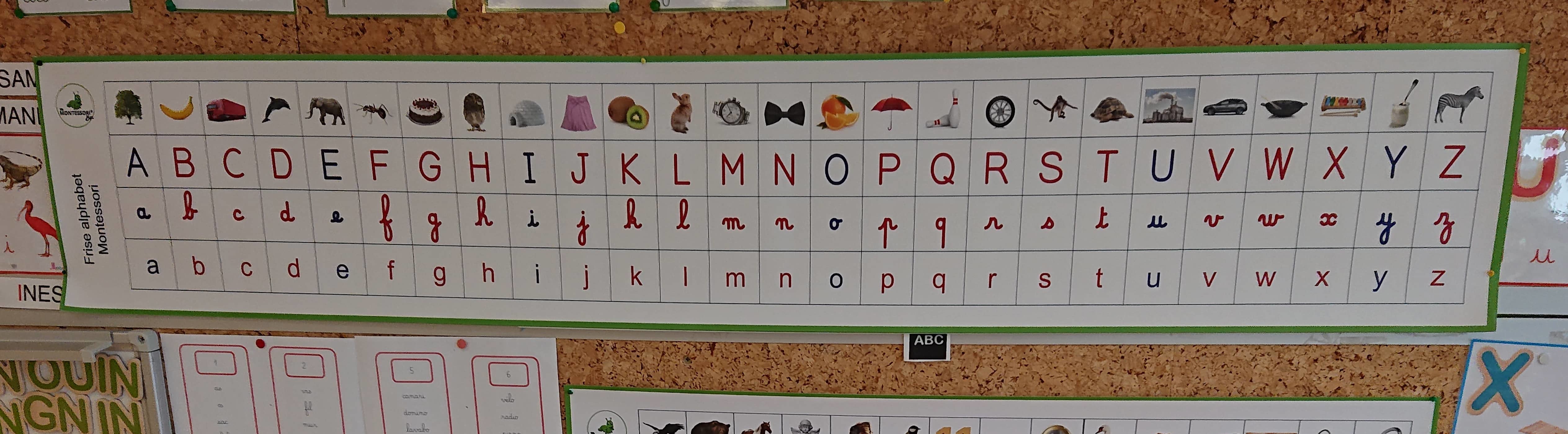 Frise alphabet murale Montessori (2 couleurs disponibles) - MaMontessoriBox