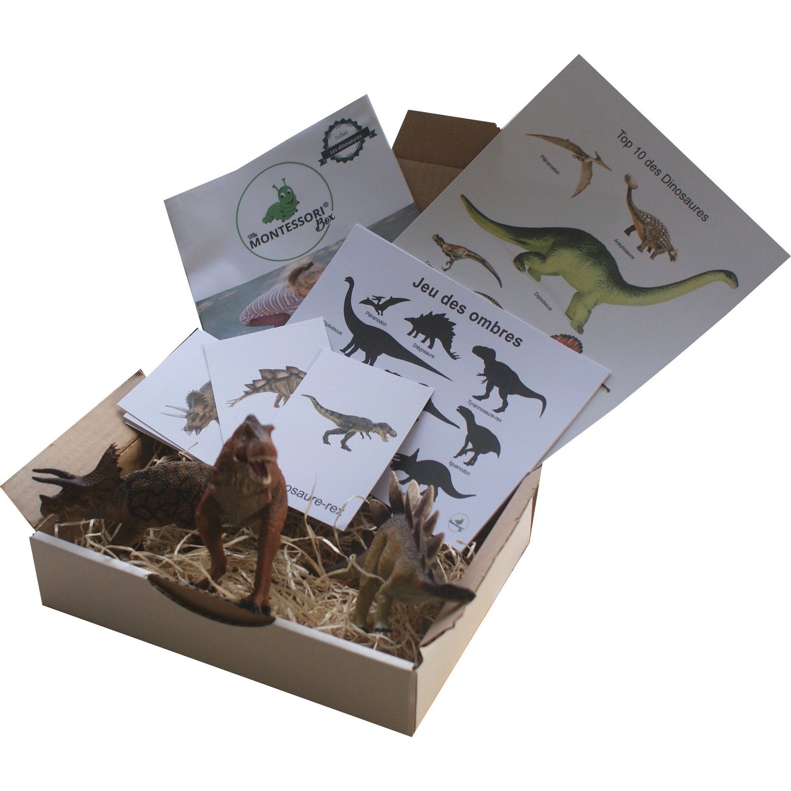 Les dinosaures Montessori - MaMontessoriBox