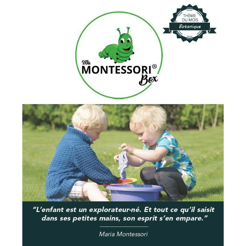 Puzzle Botanique de l'Arbre Montessori - MaMontessoriBox