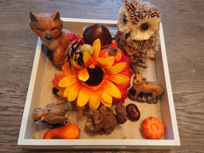 activites montessori automne