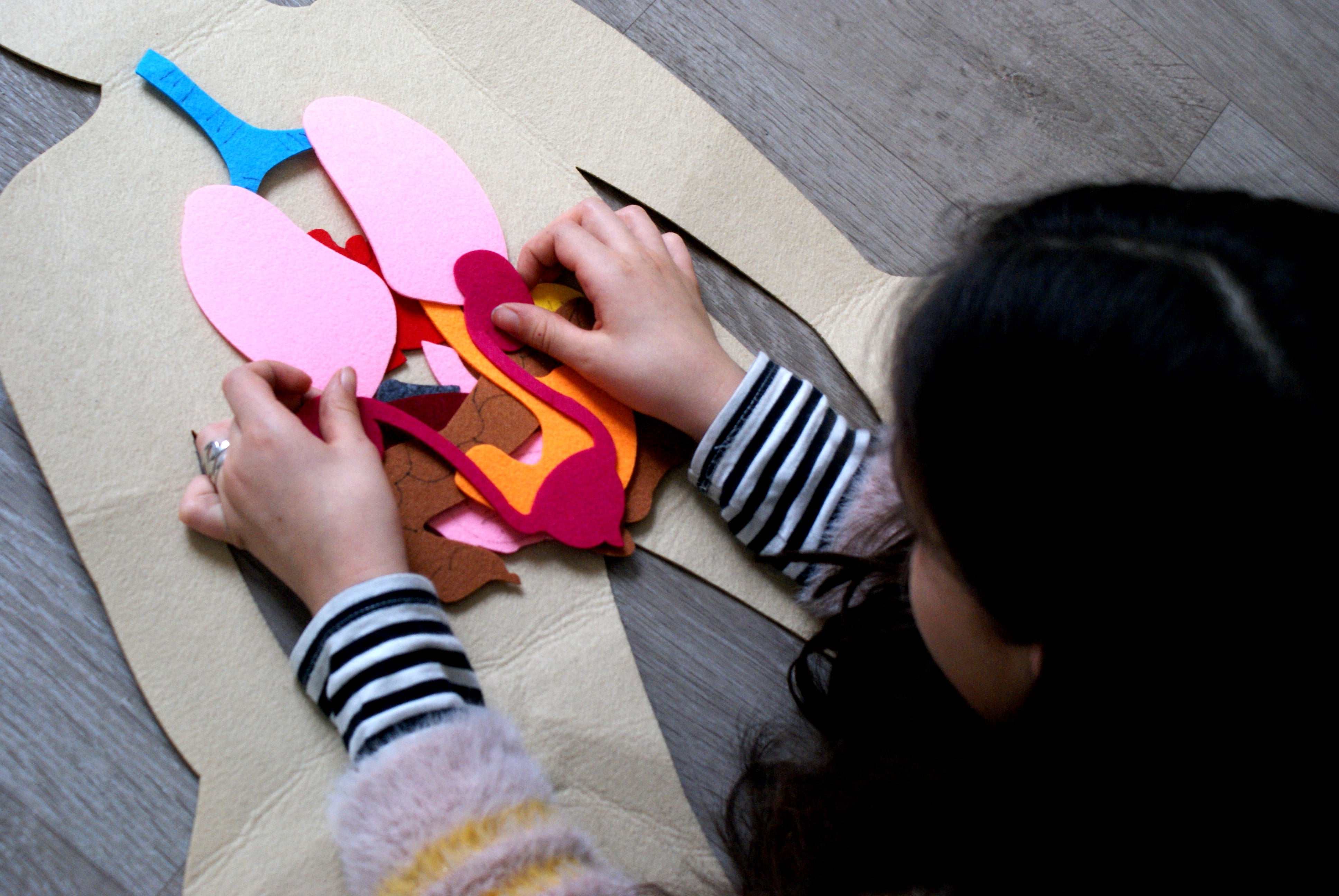 4 plans de développement montessori