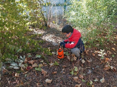 activites montessori automne 