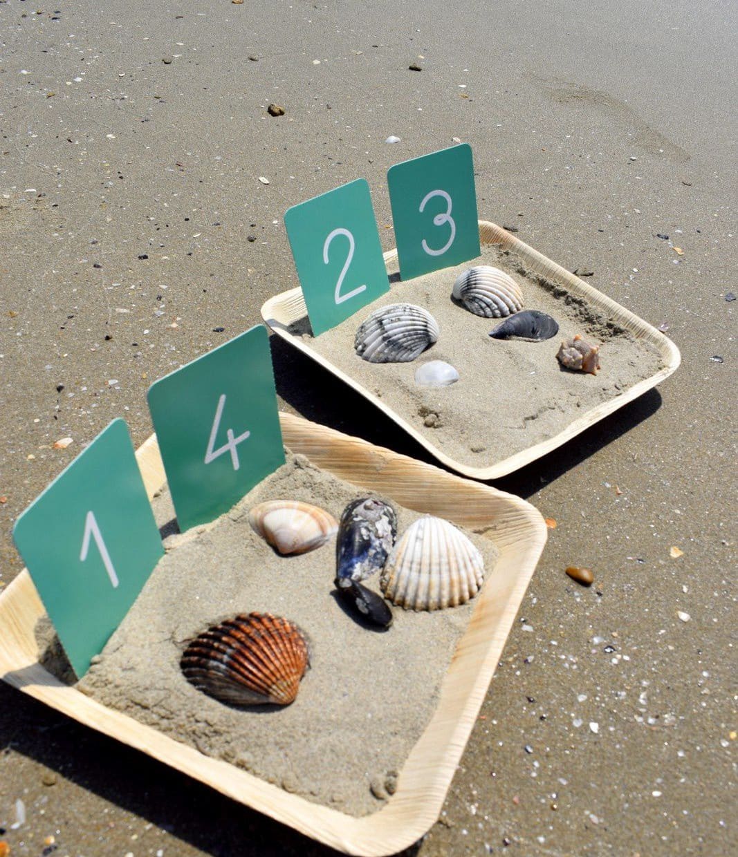 activités montessori vacances