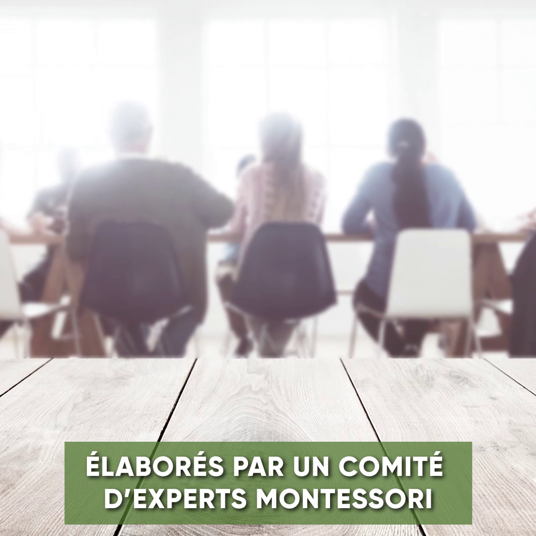 comite experts montesosri