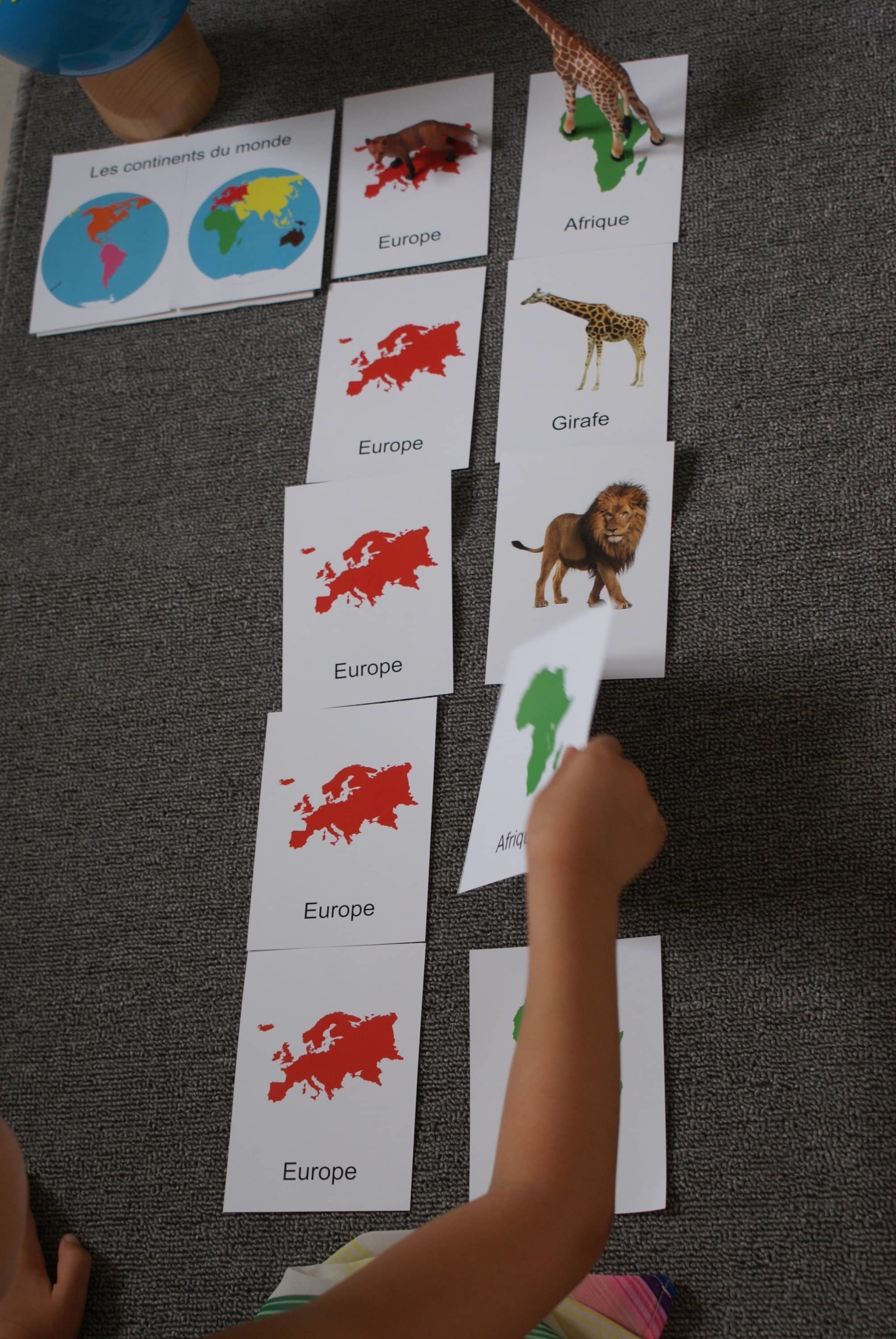 Animaux du Monde Montessori - MaMontessoriBox