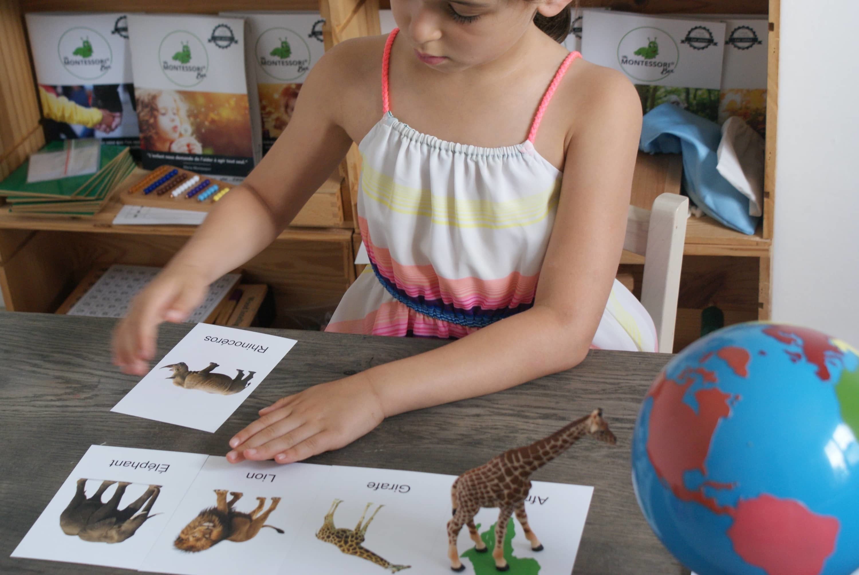 Animaux du Monde Montessori - MaMontessoriBox
