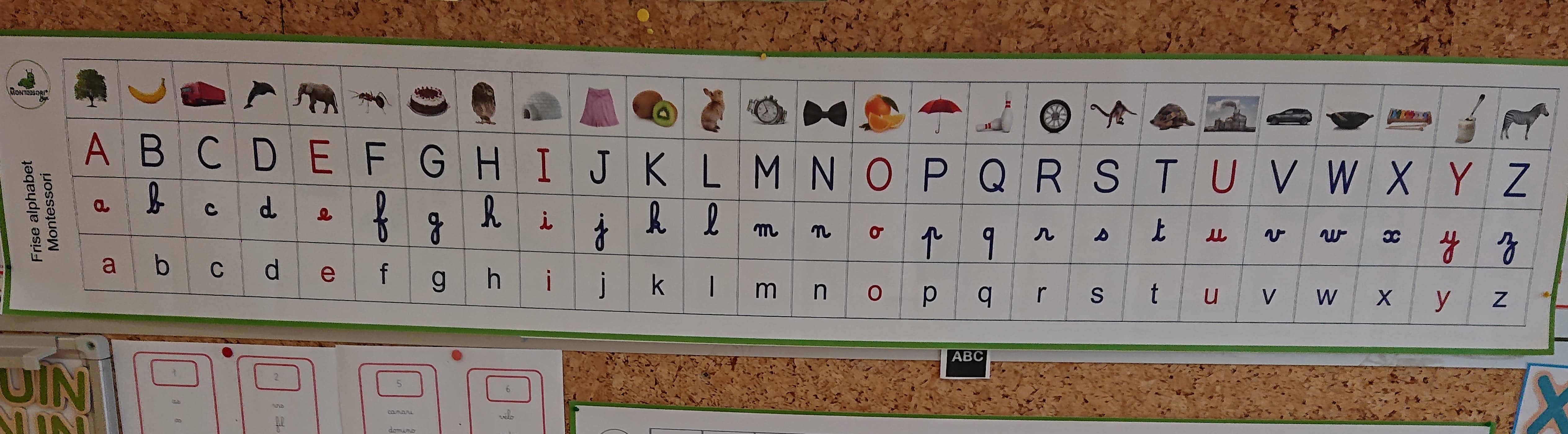 Frise alphabet murale Montessori (2 couleurs disponibles) - MaMontessoriBox