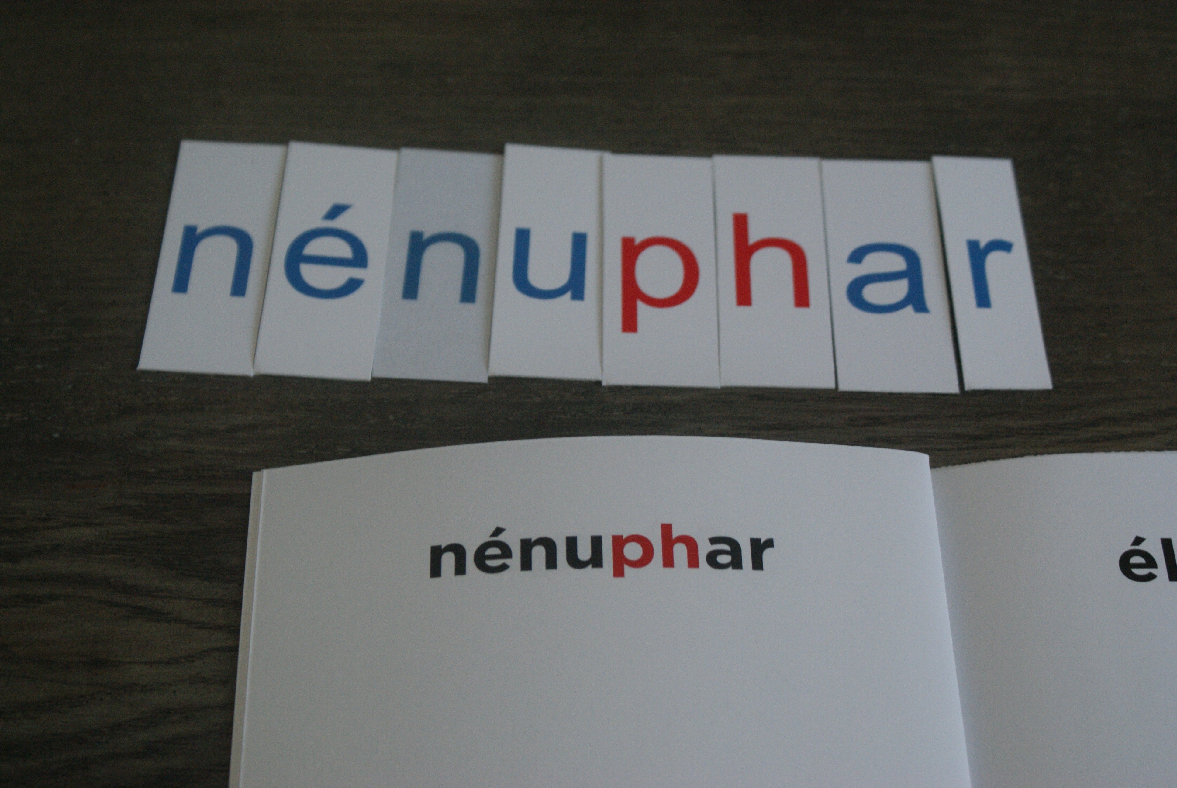 Homophones Montessori - MaMontessoriBox