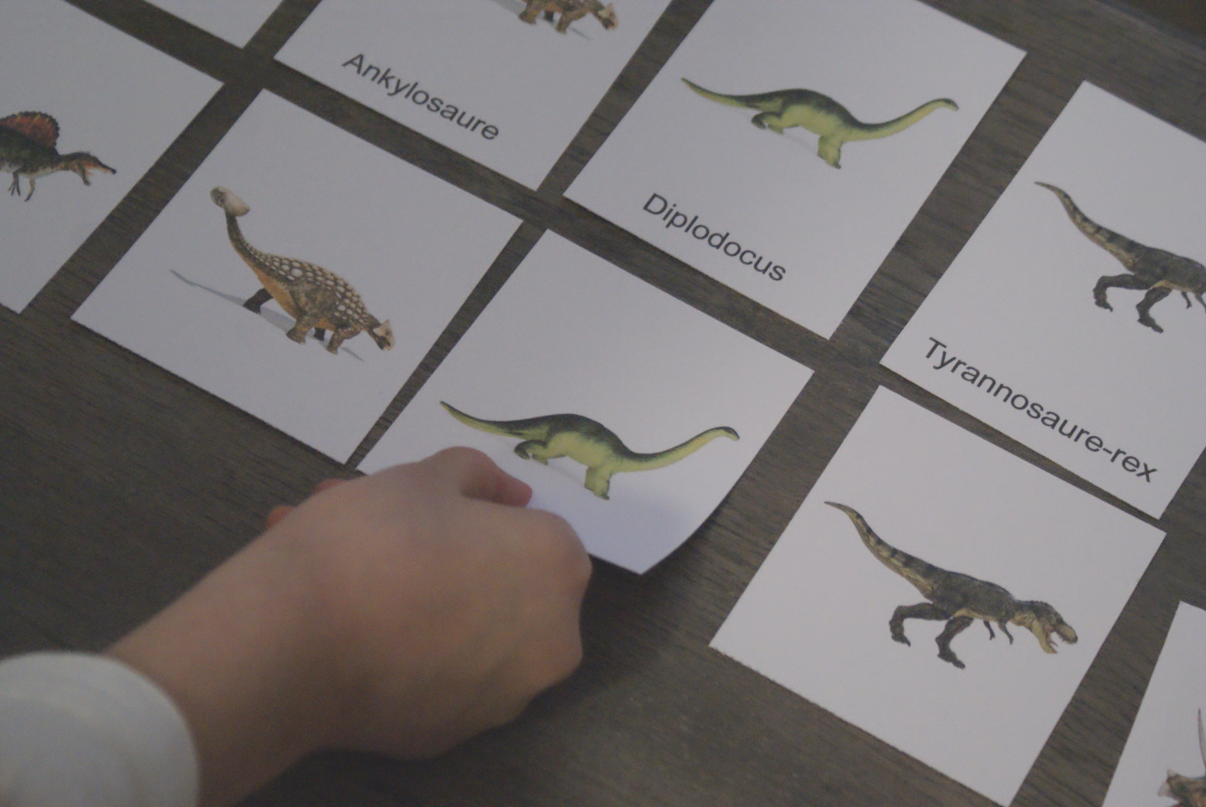 Les dinosaures Montessori - MaMontessoriBox