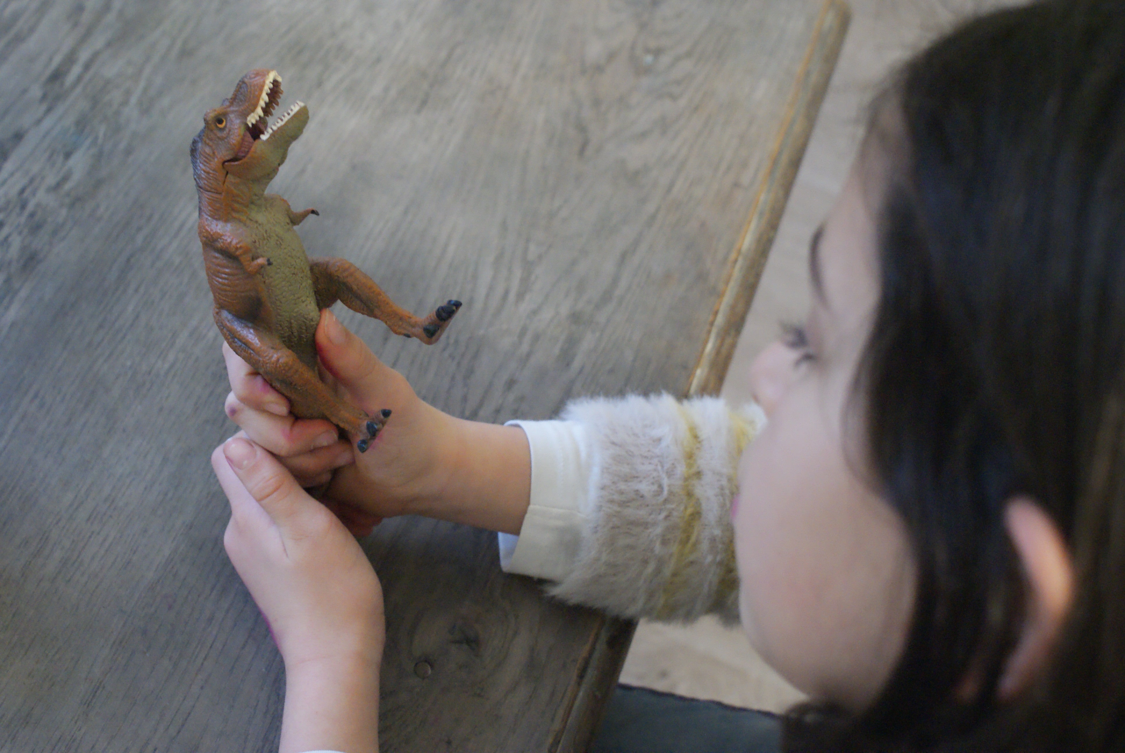 Les dinosaures Montessori - MaMontessoriBox