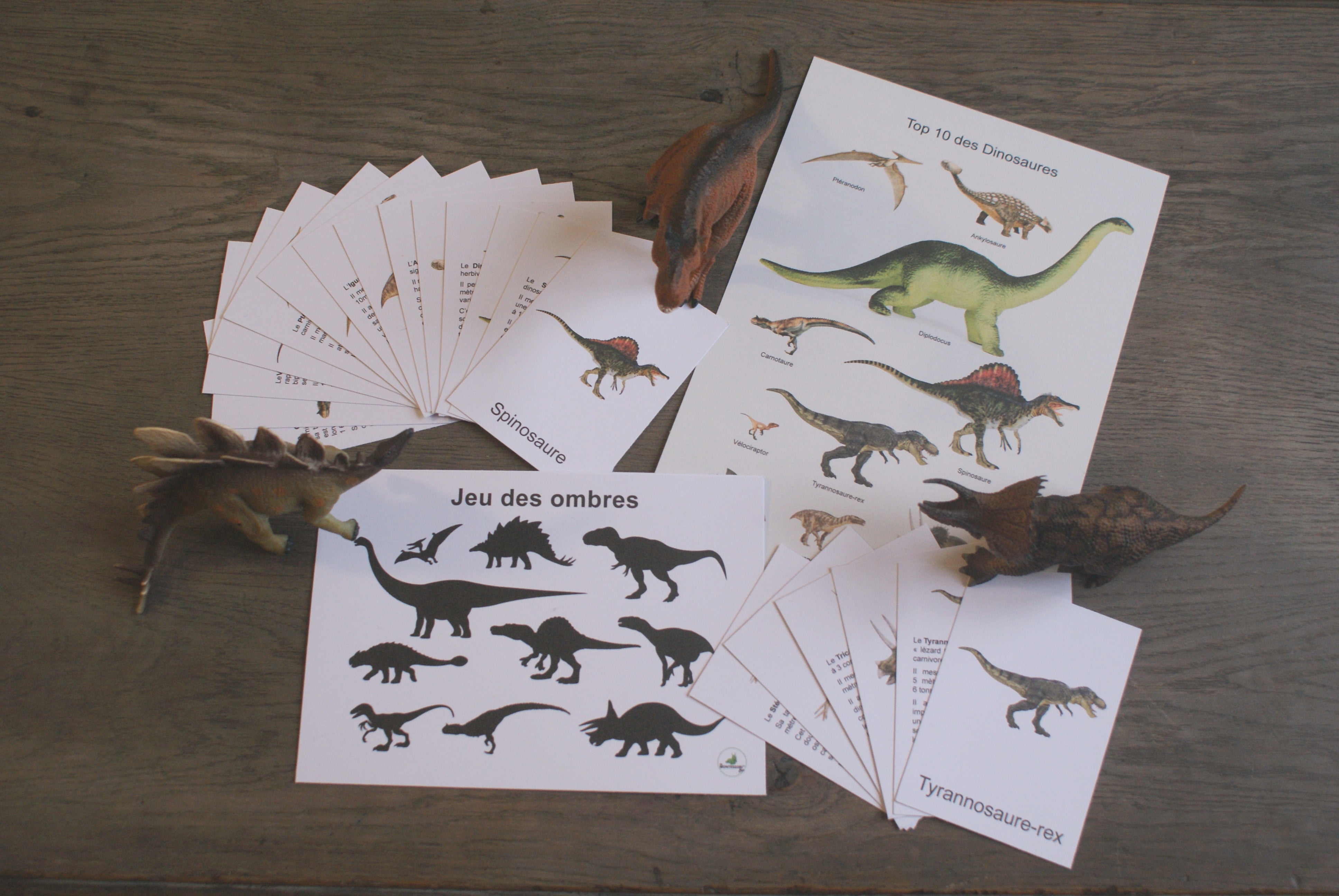 Les dinosaures Montessori - MaMontessoriBox