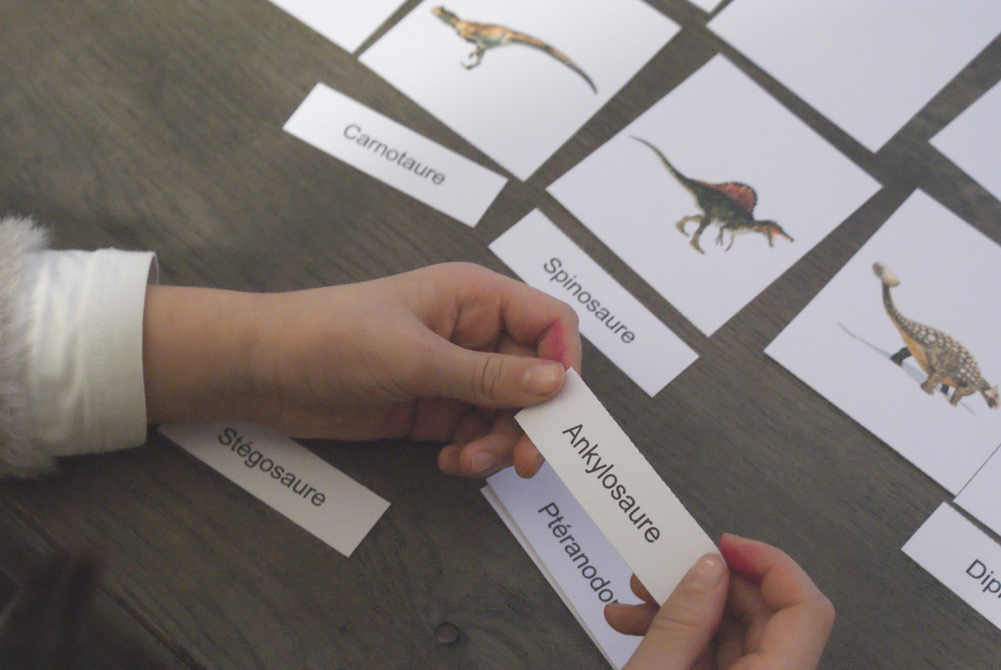 Les dinosaures Montessori - MaMontessoriBox