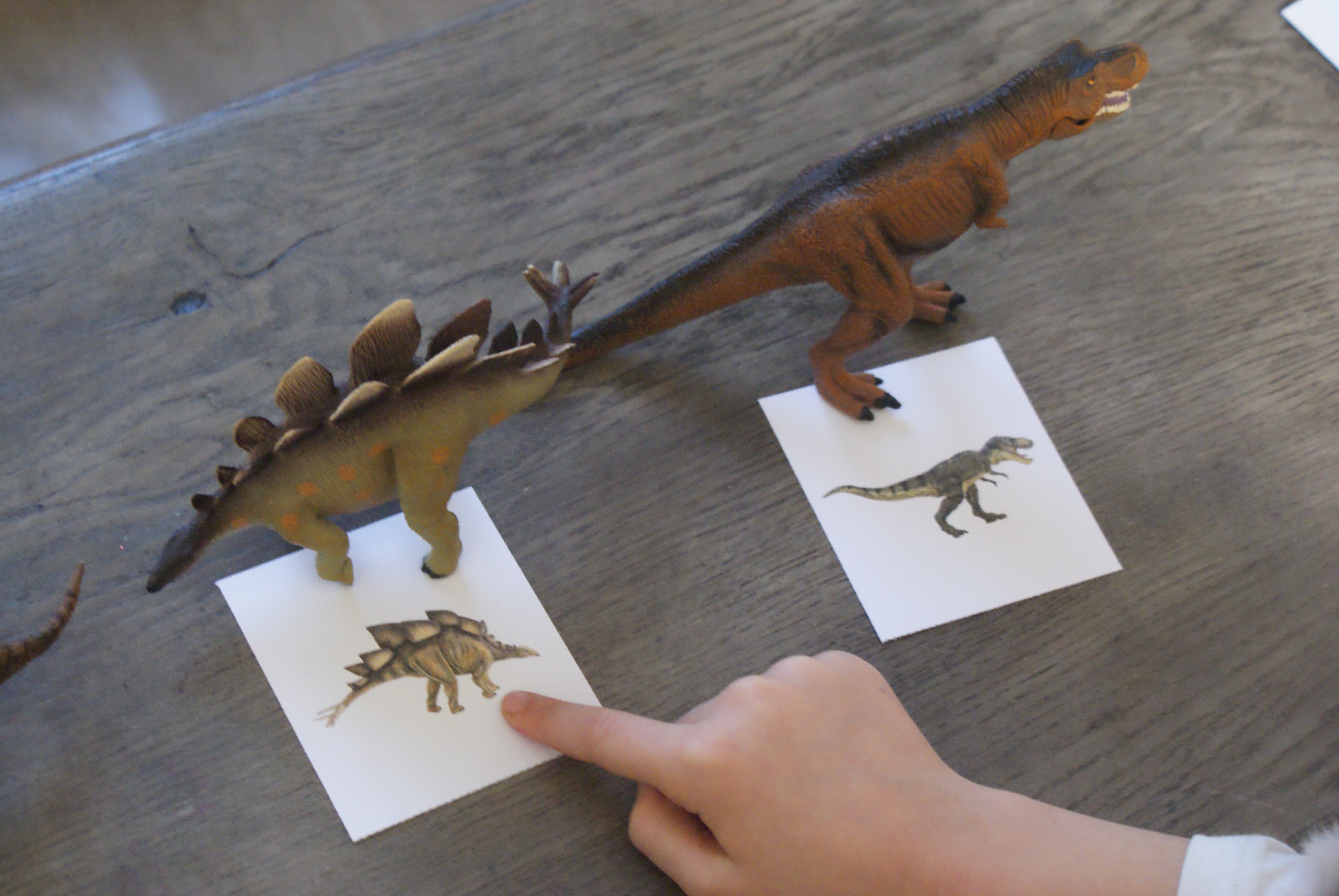 Les dinosaures Montessori - MaMontessoriBox