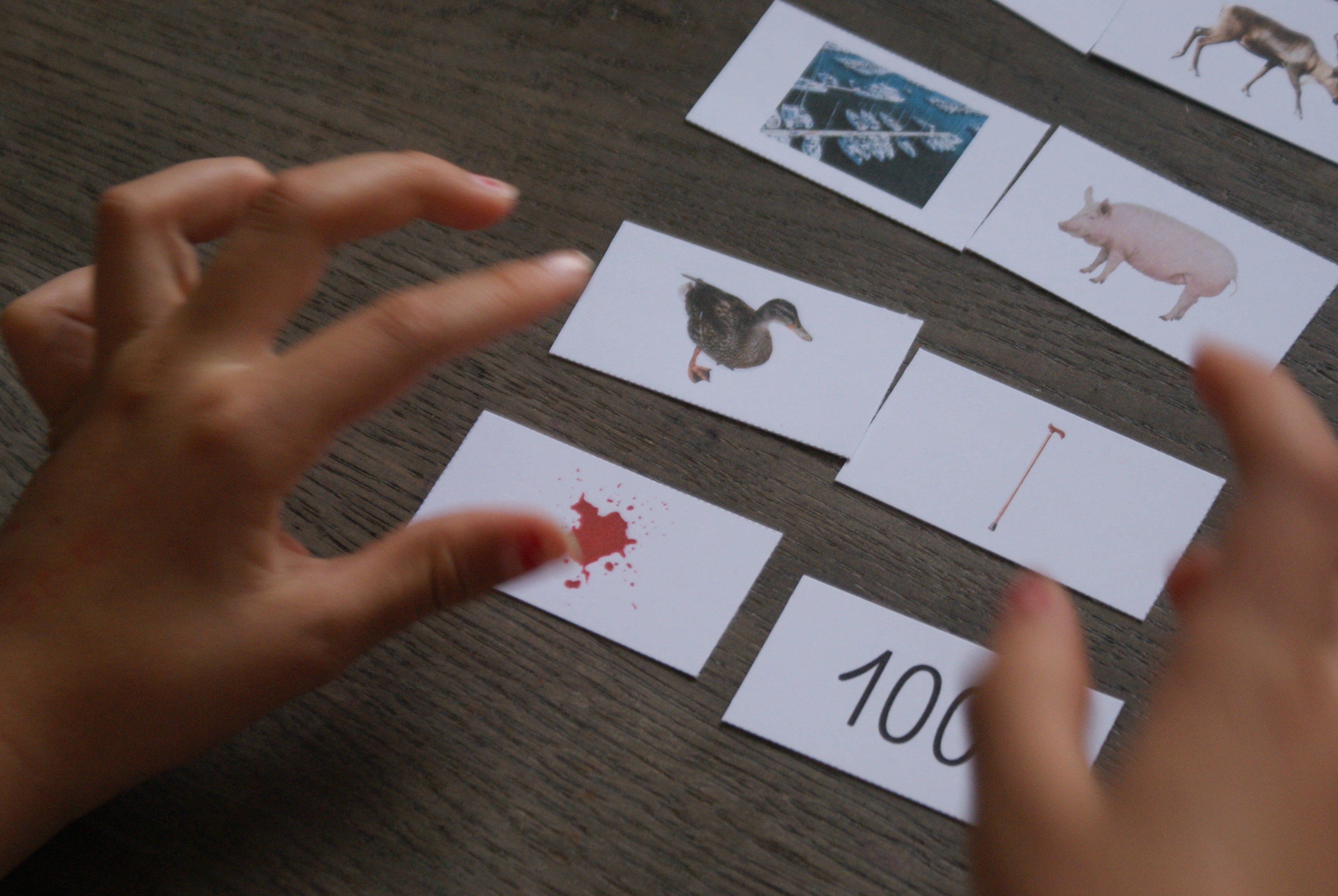 Orthographe Montessori - MaMontessoriBox