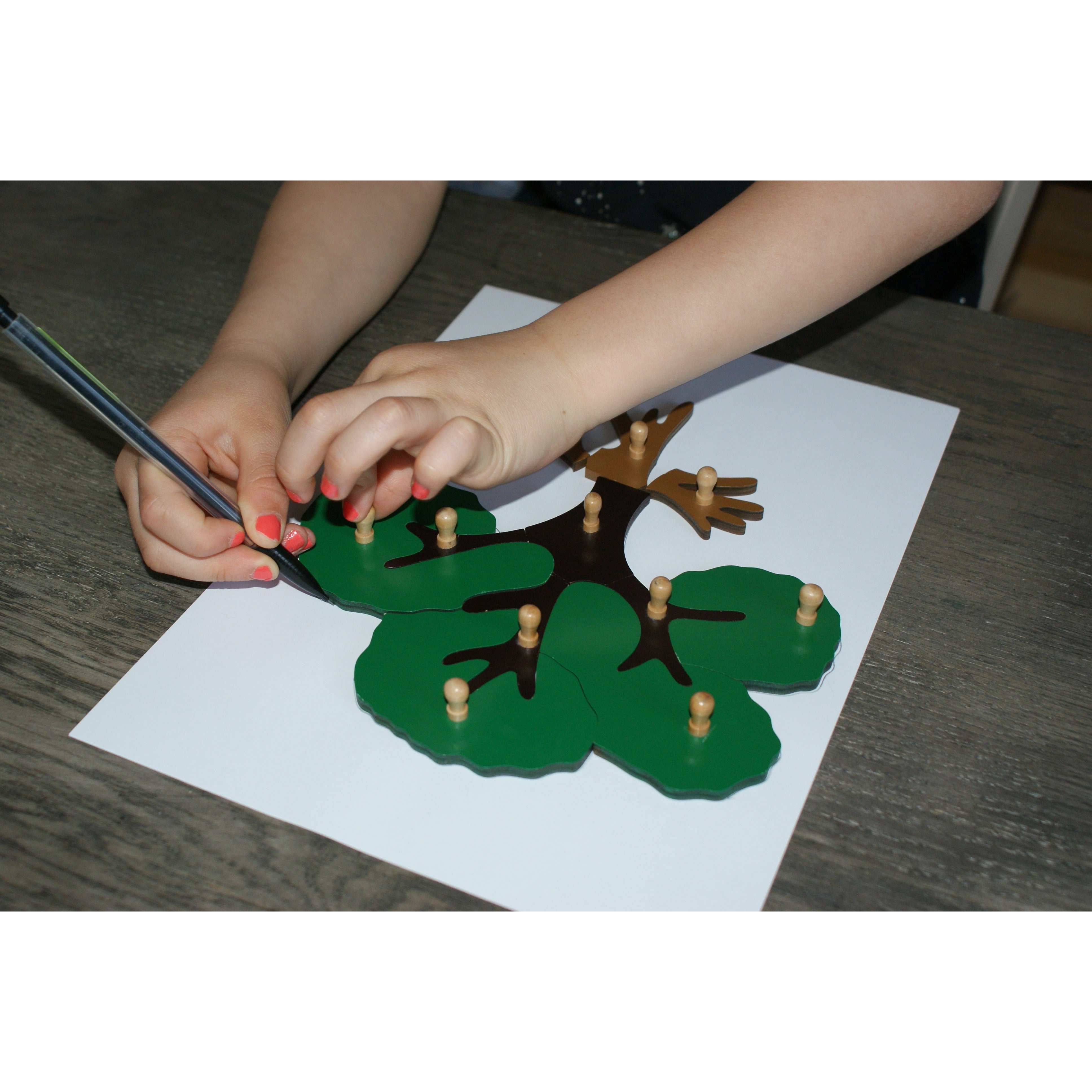 Puzzle Botanique de l'Arbre Montessori - MaMontessoriBox