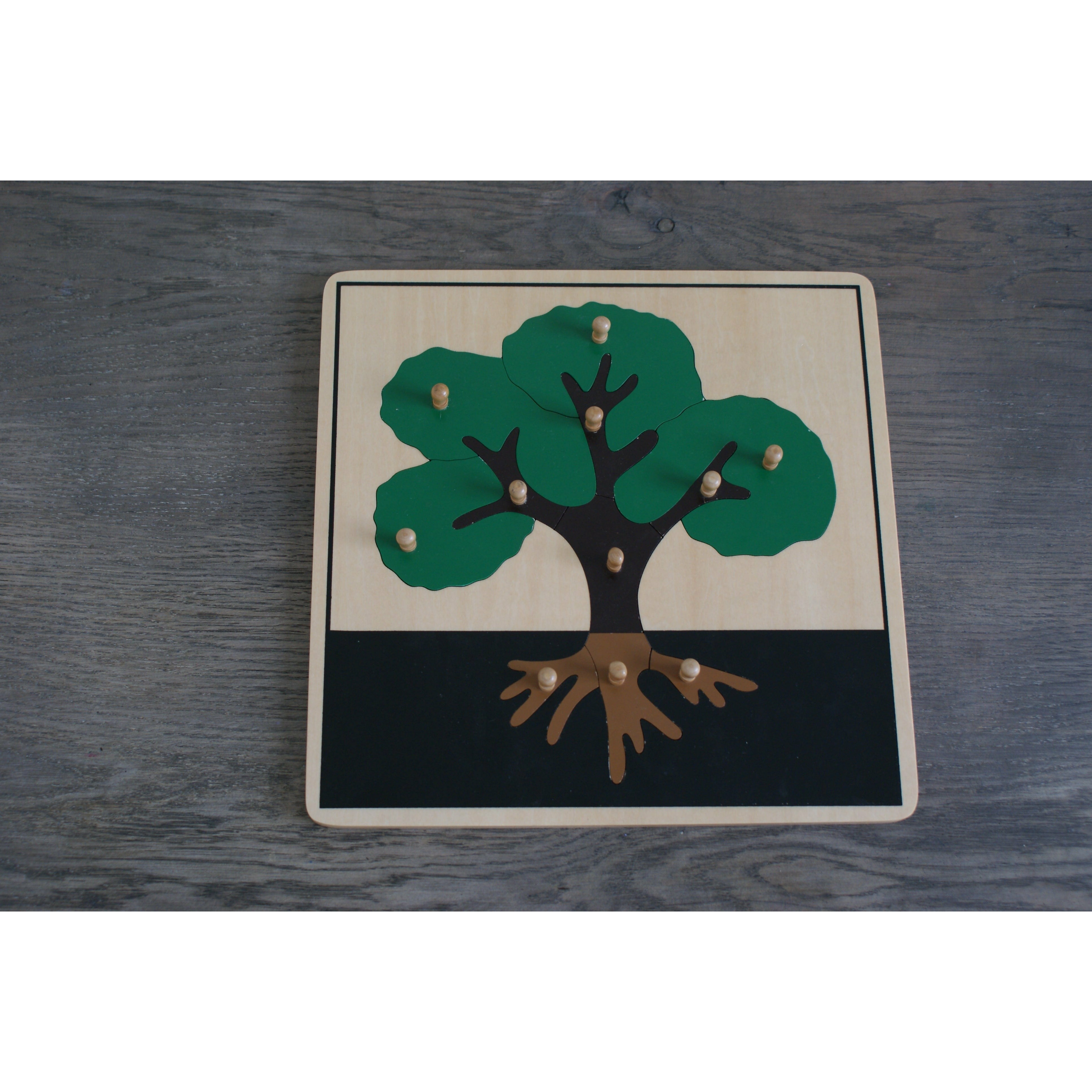 Puzzle Botanique de l'Arbre Montessori - MaMontessoriBox
