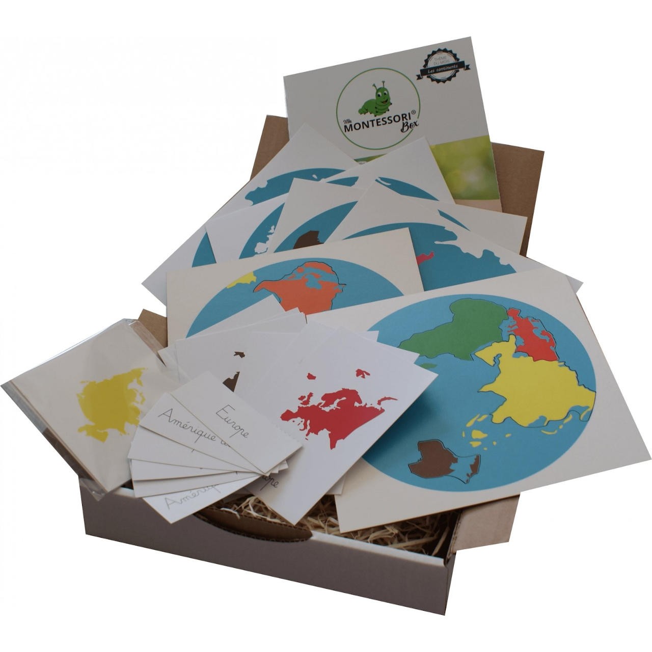 Mini globe cartographie continents - Géographie - matériel Montessori -  jeux éducatif - apprentissages bébé