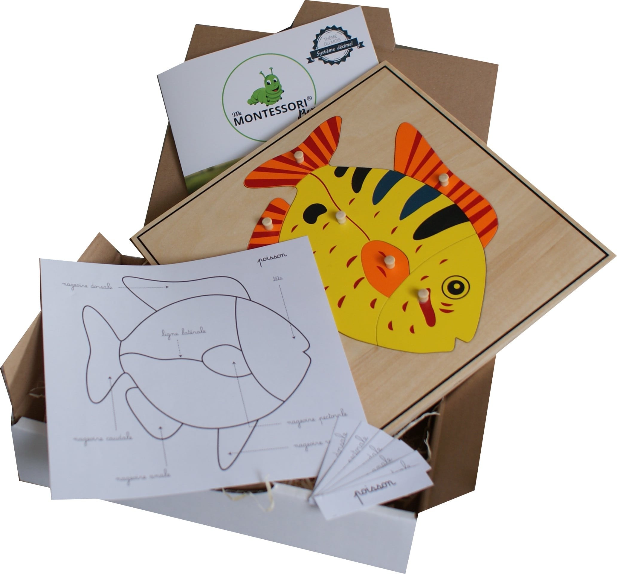 Puzzle du Poisson Montessori - Zoologie - MaMontessoriBox