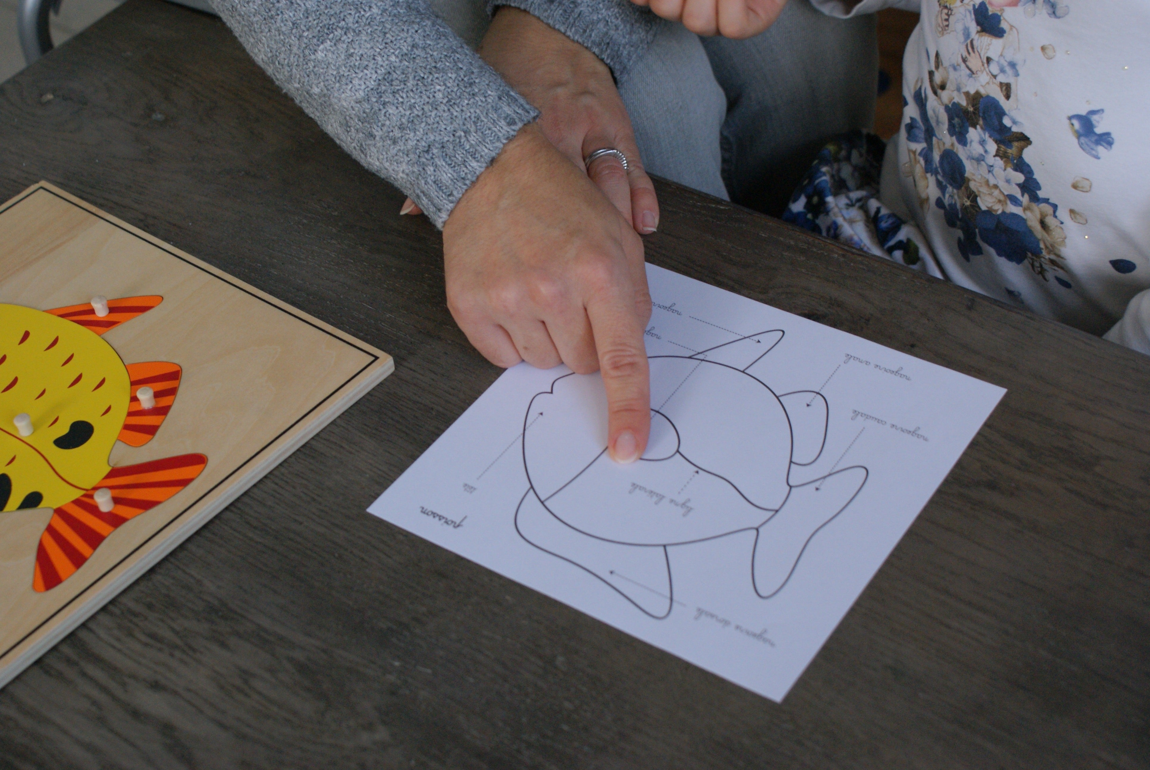 Puzzle du Poisson Montessori - Zoologie - MaMontessoriBox