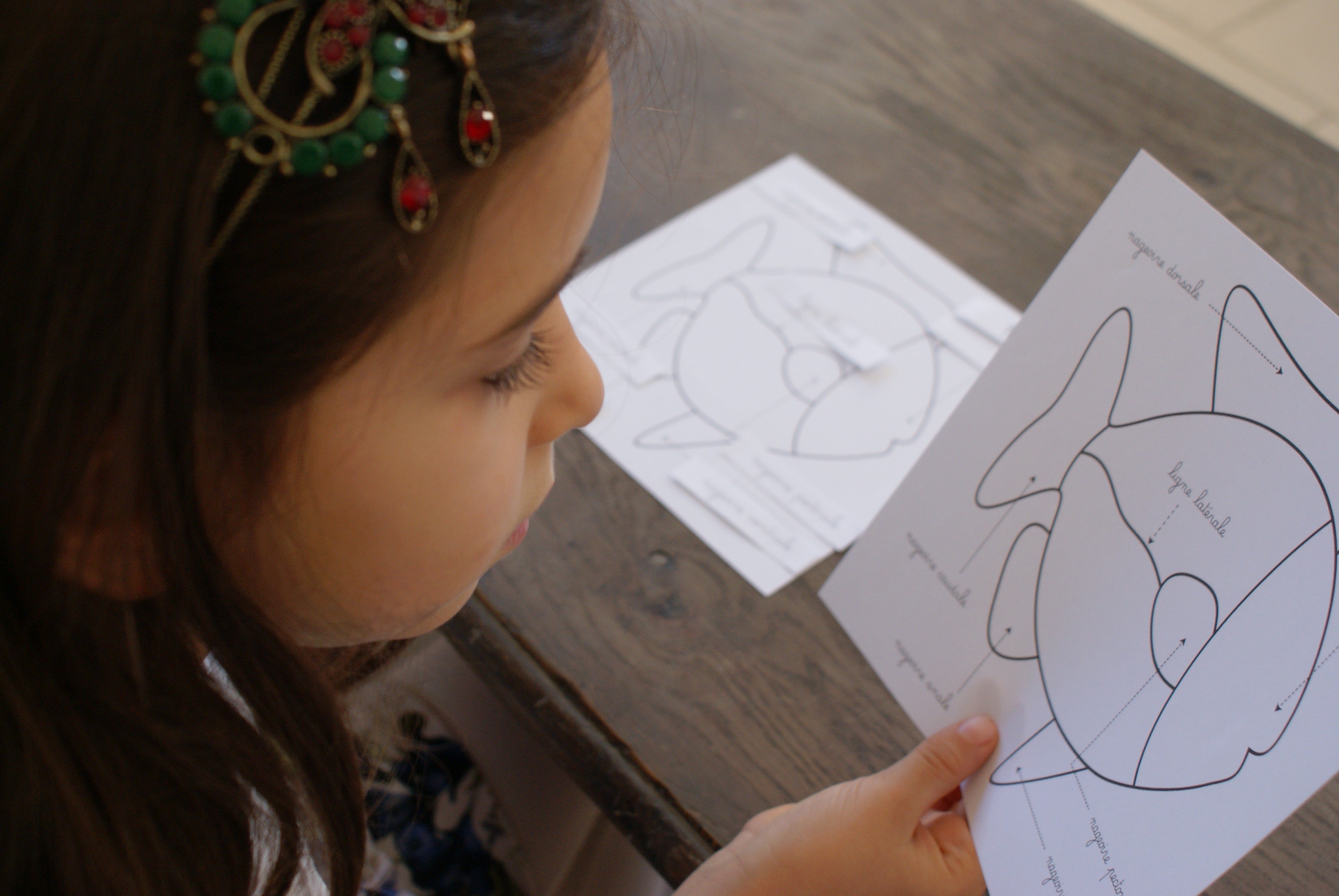 Puzzle du Poisson Montessori - Zoologie - MaMontessoriBox