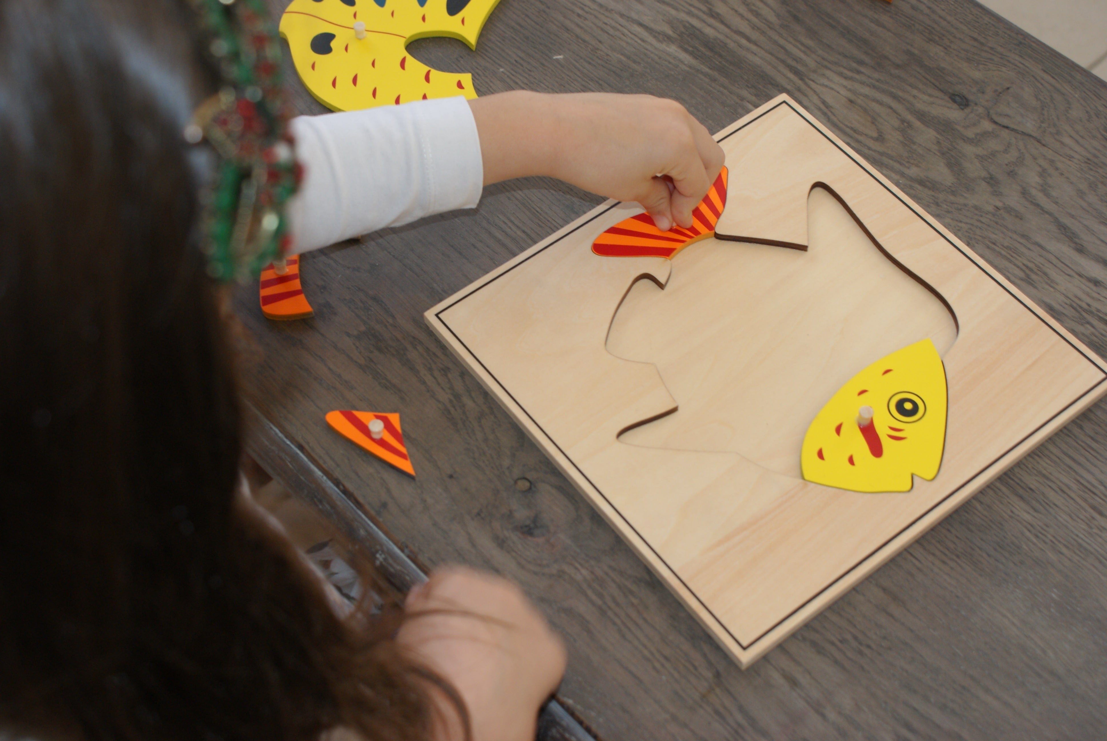 Puzzle du Poisson Montessori - Zoologie - MaMontessoriBox