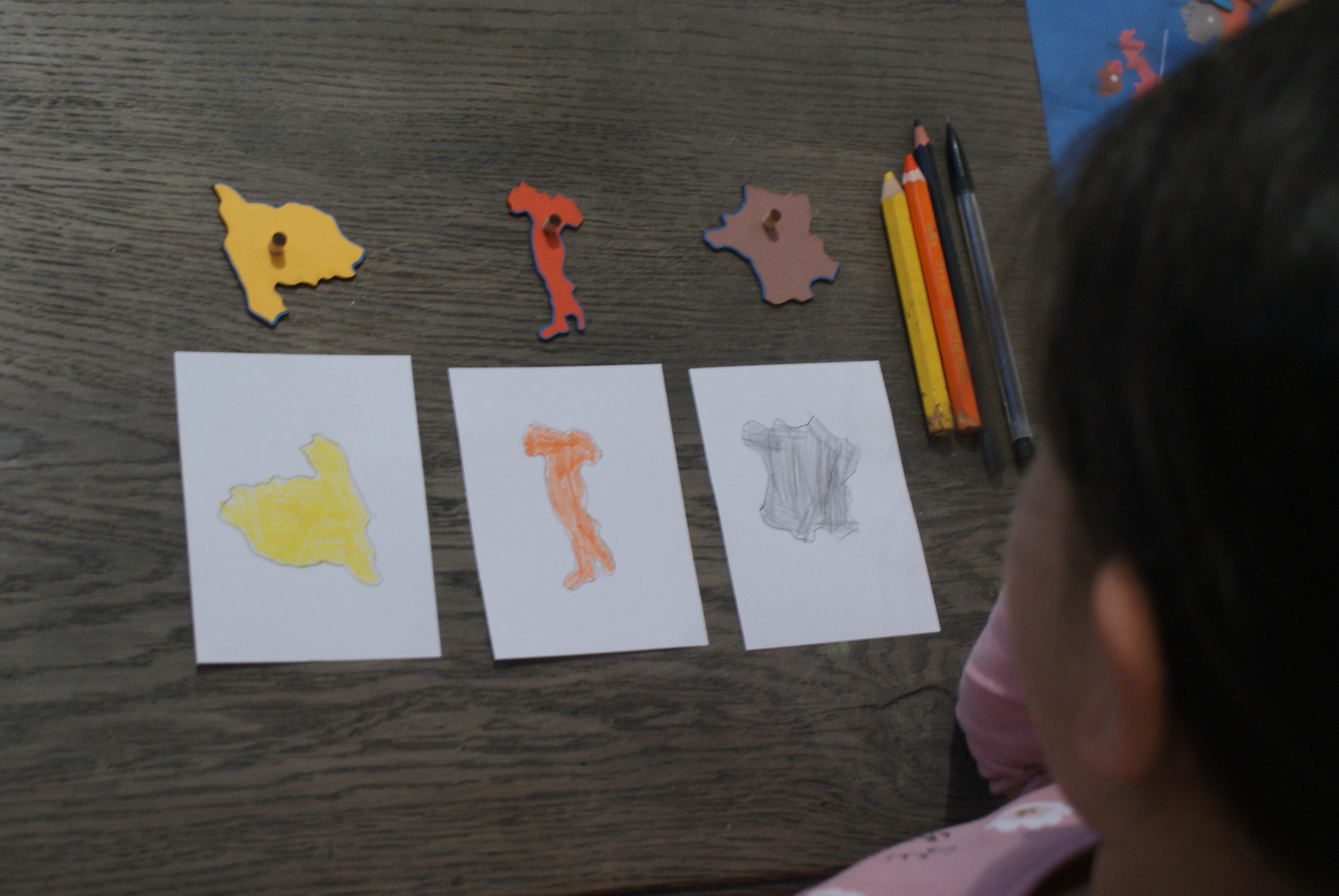 Puzzle du continent Europe Montessori - MaMontessoriBox