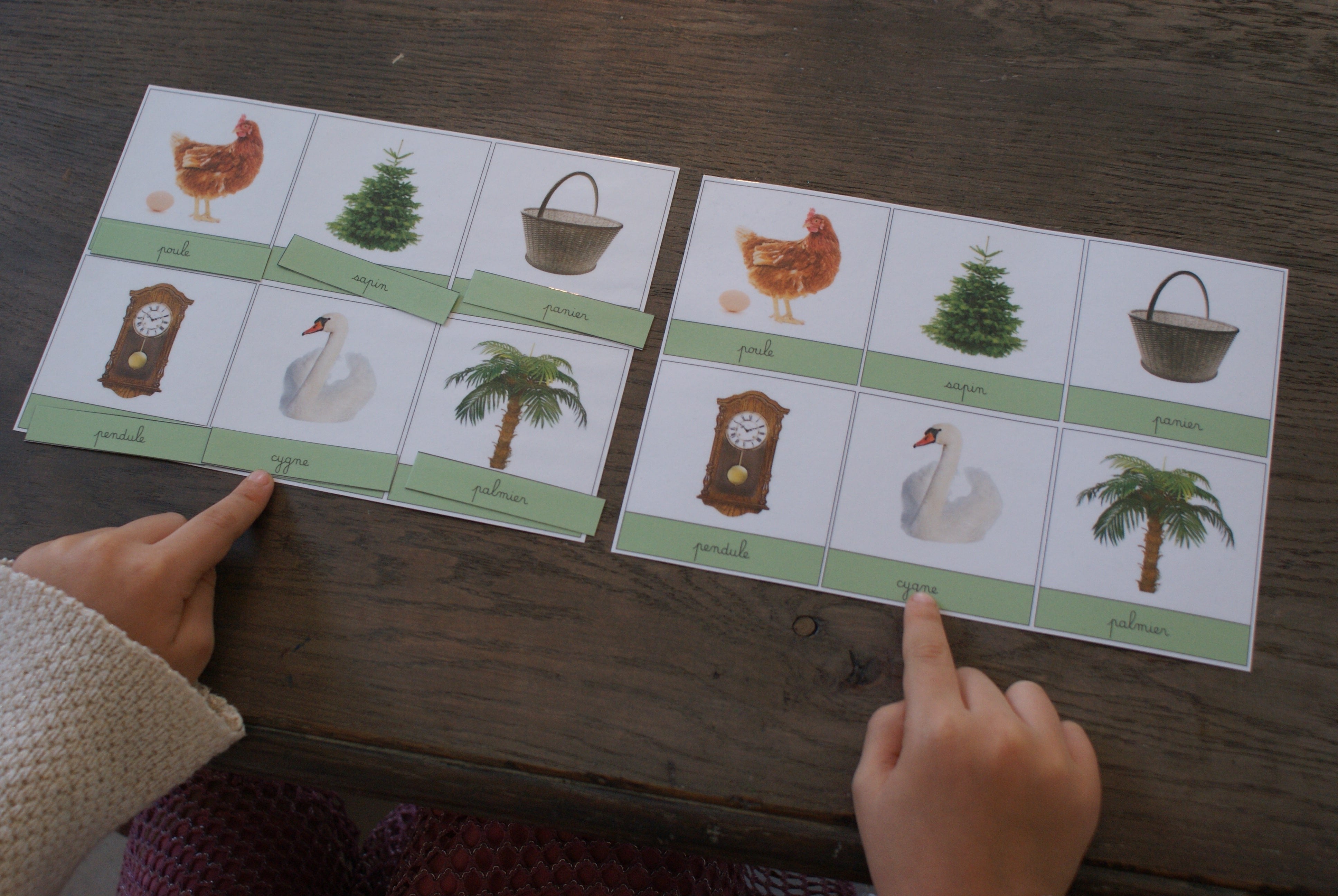 Séries de Lecture Montessori Cursives - MaMontessoriBox