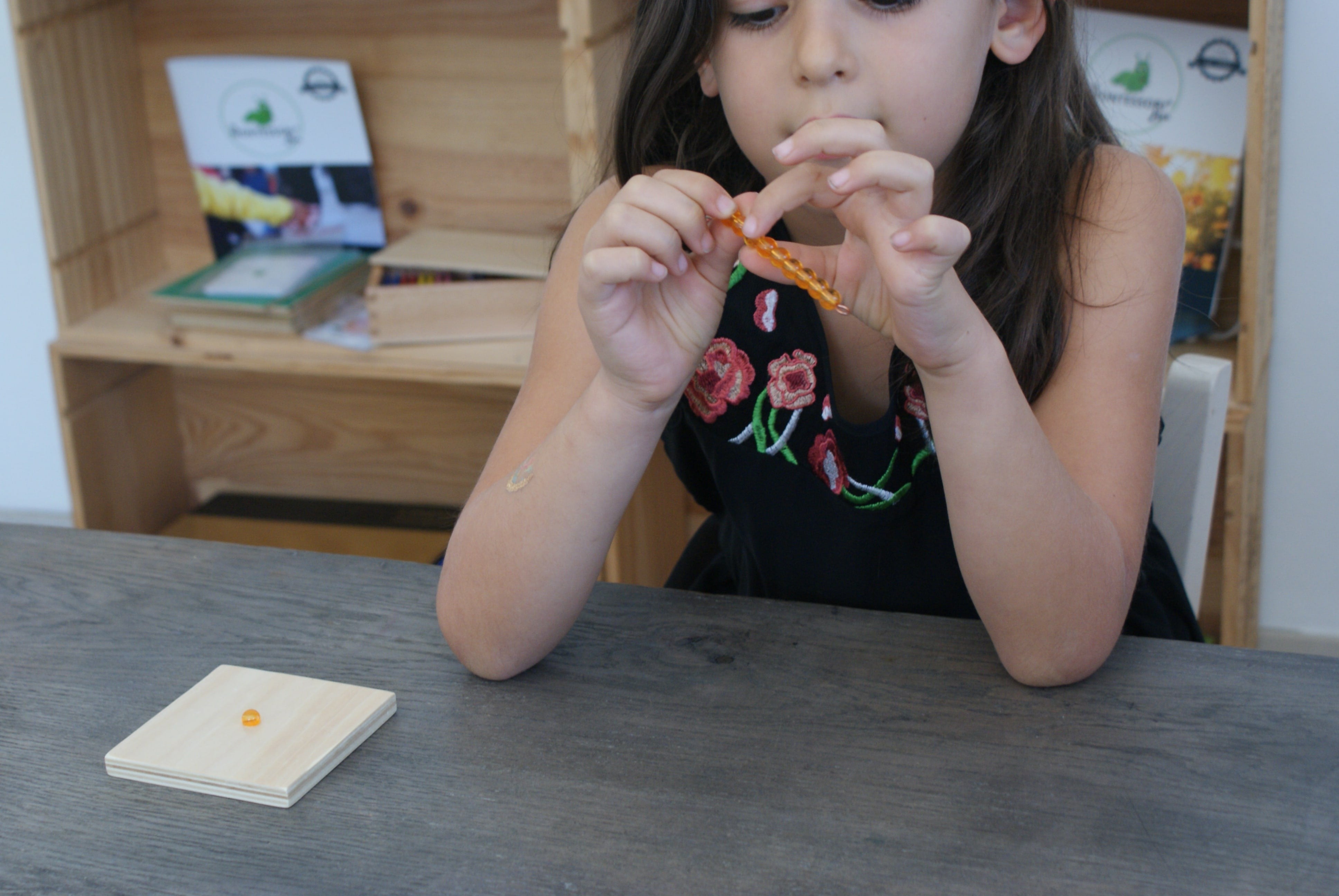 Système Décimal Montessori - MaMontessoriBox