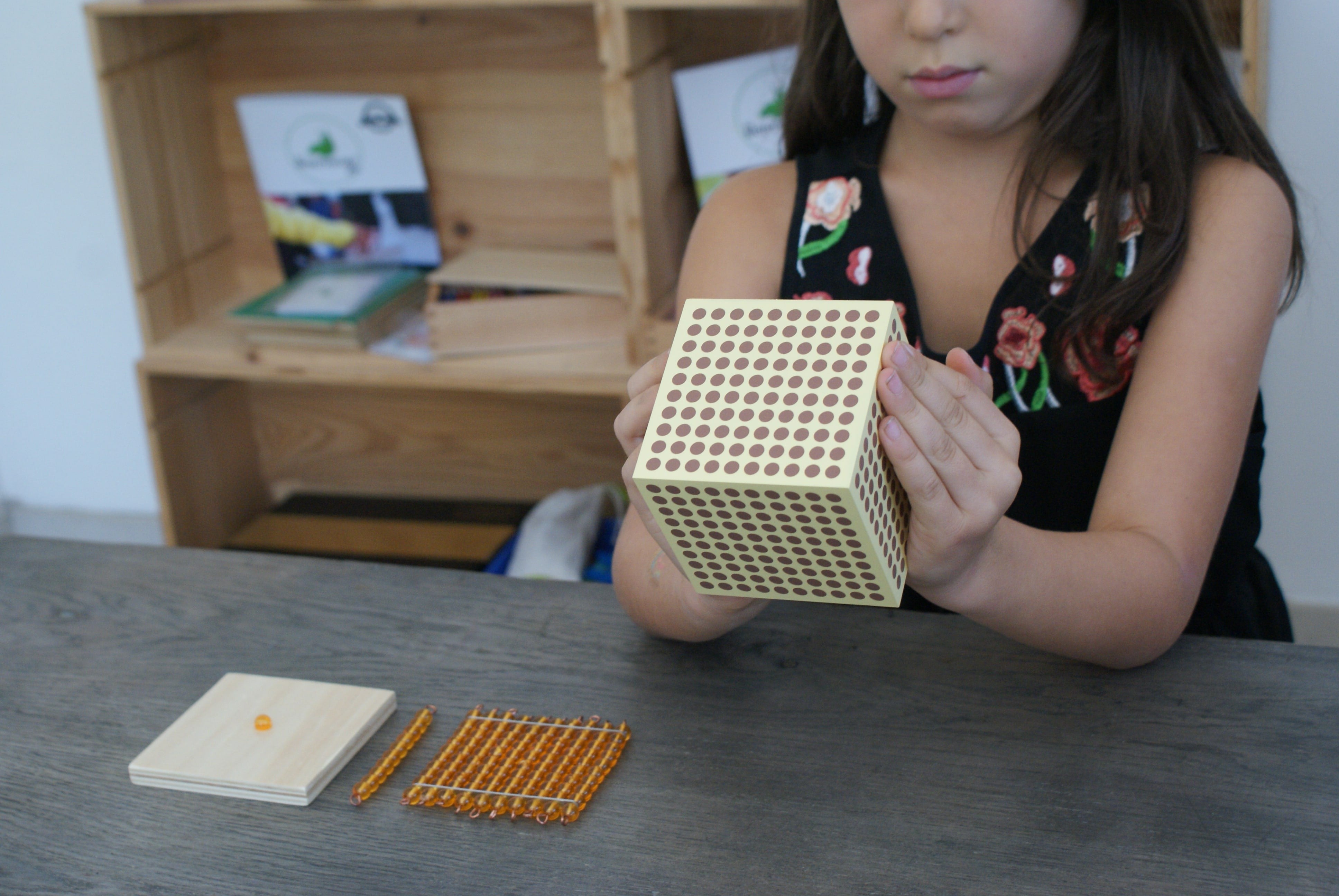 Système Décimal Montessori - MaMontessoriBox